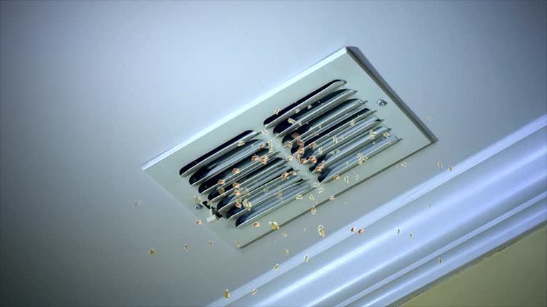 Best Local Air Duct Cleaning Services  in Delavan, IL
