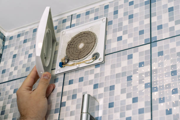Best Ductwork Cleaning Services  in Delavan, IL
